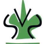 Sachseneinzelmeisterschaft